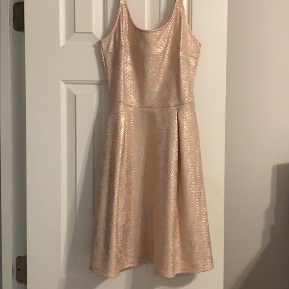 NWOT Skater Dress